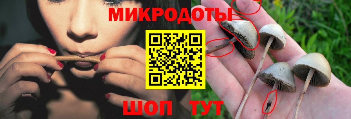 Галлюциногенные грибы Psilocybe  Галлюциногенные грибы ЛСД  Вход с VPN  Шебекино 