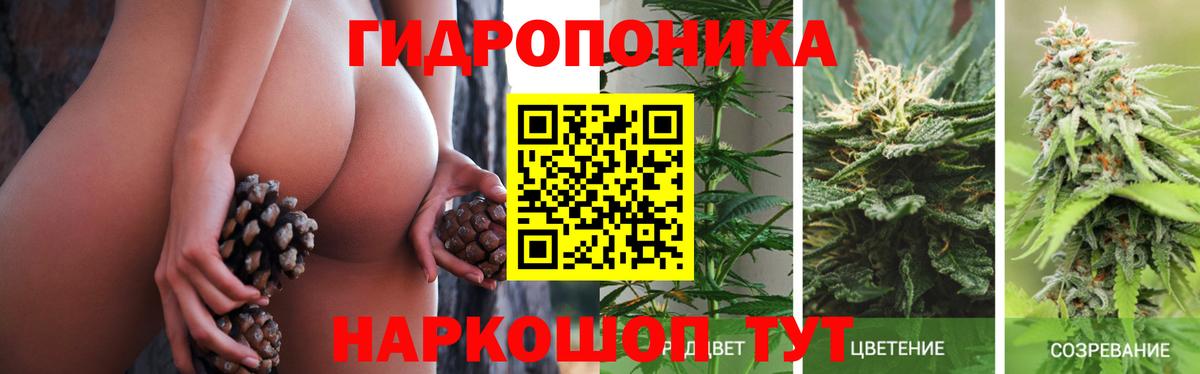 Каннабис марихуана Шебекино